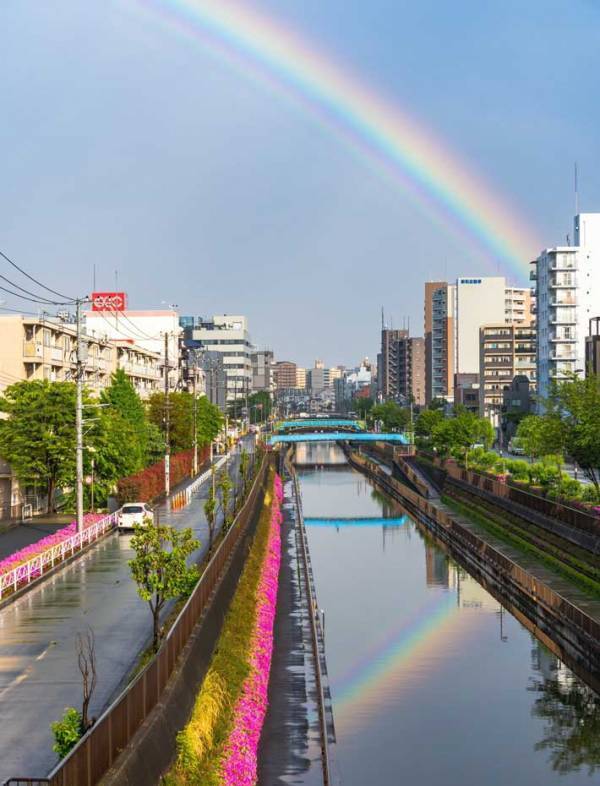 大雨の後に出現した虹　下にはもう１本の…「素敵！」「いいことがありそう」