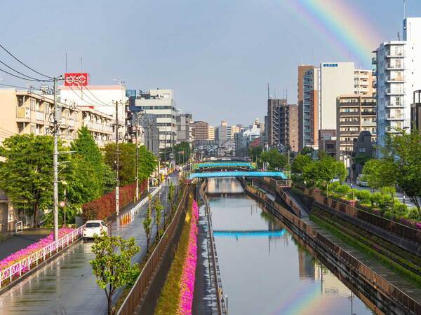 大雨の後に出現した虹　下にはもう１本の…「素敵！」「いいことがありそう」