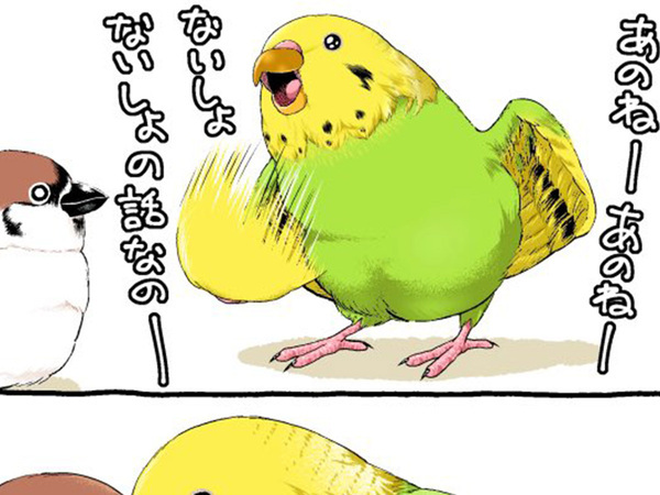 インコが内緒の話をしようとしたら…　最後のコマに「笑った」「悪気はない模様」