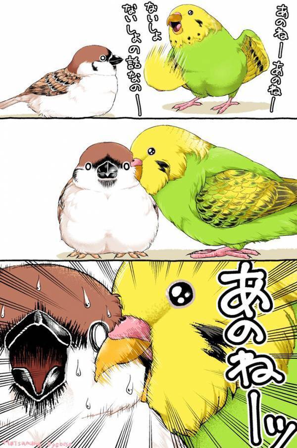 インコが内緒の話をしようとしたら…　最後のコマに「笑った」「悪気はない模様」