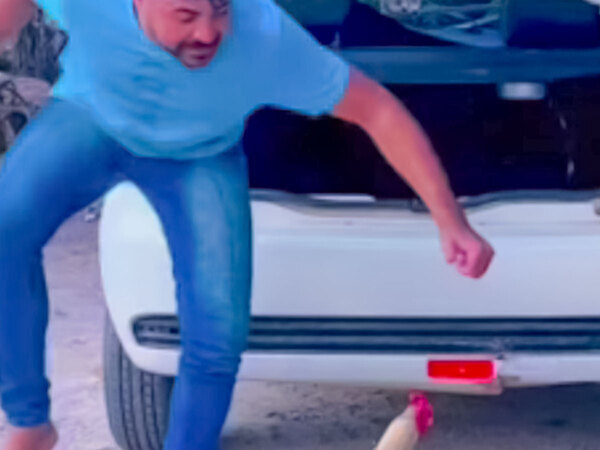 足元をチラチラ見て踊るのは…　「かわいすぎ」「感動した」