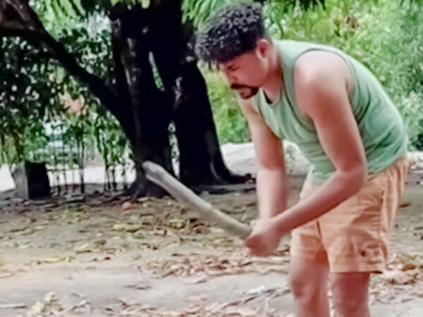 『演技派ニワトリ』飼い主の様子を見た直後、取った行動がまさかの