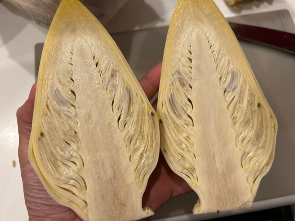 タケノコみたいだけど…　謎野菜の『正体』に「初めて見た」