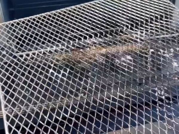 トースターの汚れがごっそり落ちる！　簡単なのに驚くほどキレイになる方法