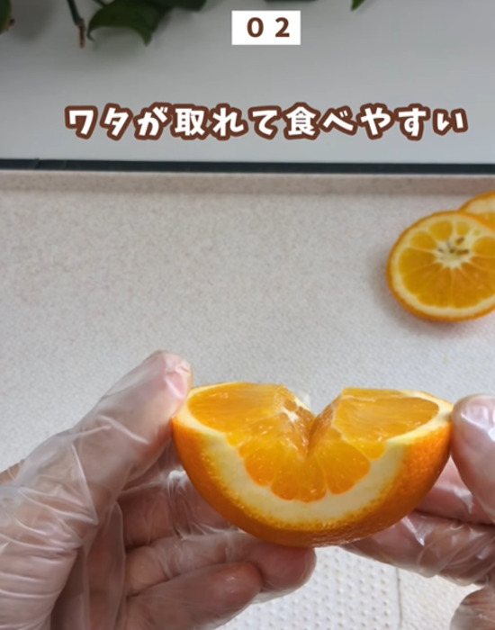 食べやすさが格段に上がった！　オレンジの切り方テクに「早速やります」