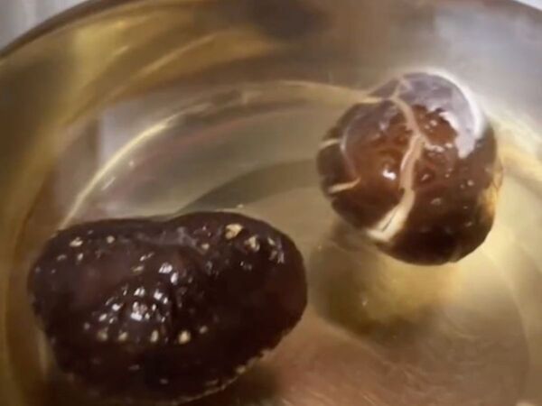 熱湯に浸けた乾燥シイタケ　３０分後の姿に「こんな方法があったとは！」