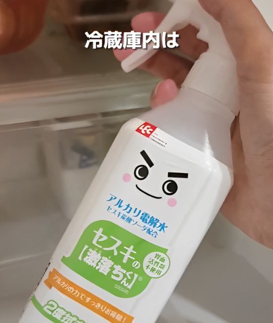 製氷機の掃除さぼってた…　製氷機のラクラク掃除方法