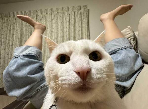 飼い主「トイレに行きたいでーす」　限界を迎えた姿に「吹いた」「好きすぎる」