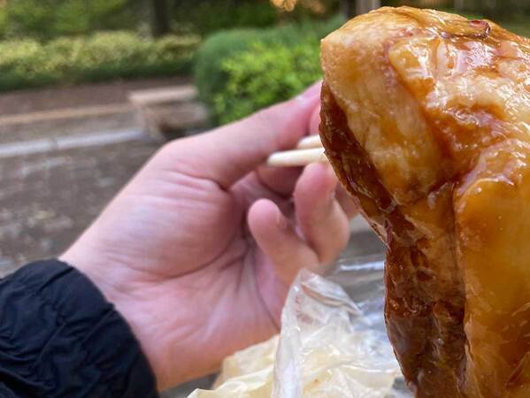 公園で食べようと買った角煮　袋から出すと…「モンスターかよ」「ジブリ飯に匹敵」