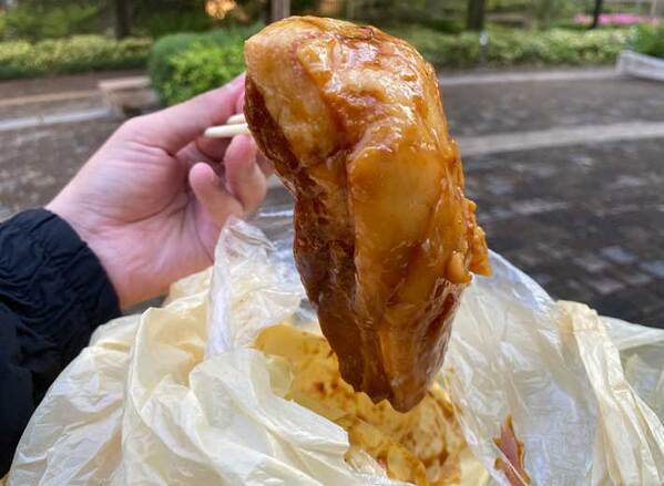公園で食べようと買った角煮　袋から出すと…「モンスターかよ」「ジブリ飯に匹敵」