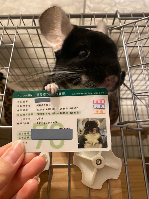 「あーこれ？俺のだけど」　チンチラが手にしていたのは…？「これは自慢したくなっちゃうね」