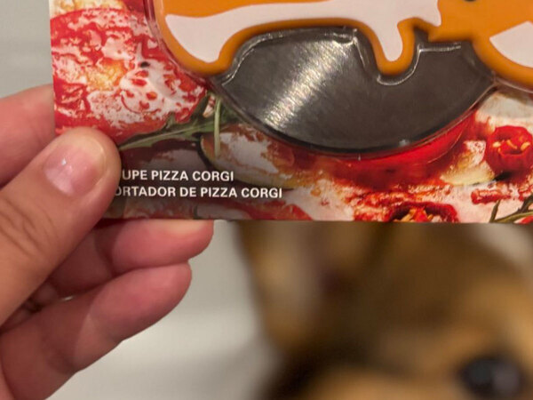 「開けるかめちゃくちゃ迷ってる」　購入したピザカッターのデザインに「何これ欲しい」「飾っておきたい」