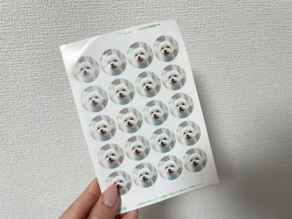 スタッフ「シールも入れてます〜」　帰宅後、確認してみると…？