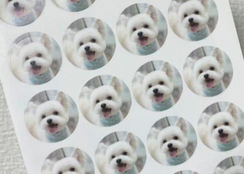 スタッフ「シールも入れてます〜」　帰宅後、確認してみると…？