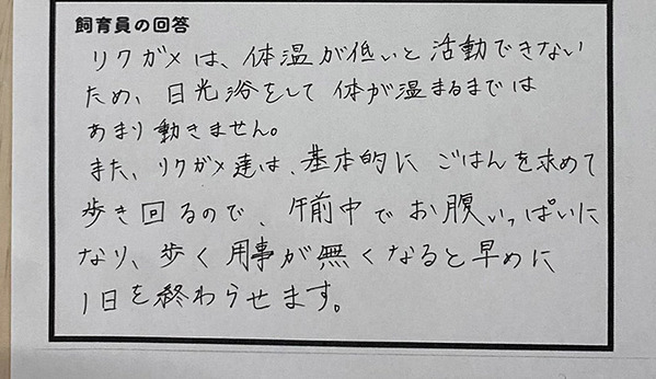 「リクガメはなぜ動かない？」に飼育員が回答　理由に「笑った」「来世はこうなりたい」