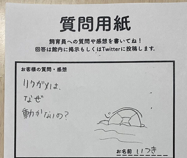 「リクガメはなぜ動かない？」に飼育員が回答　理由に「笑った」「来世はこうなりたい」