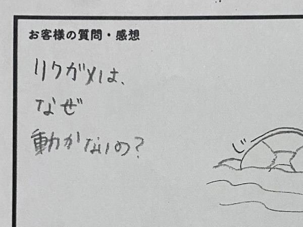 「リクガメはなぜ動かない？」に飼育員が回答　理由に「笑った」「来世はこうなりたい」