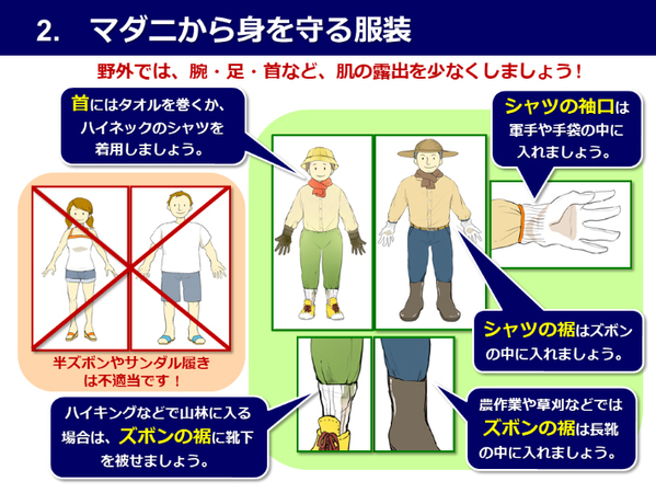 無防備で草むらに入るのはNG！　注意喚起に「十分に気を付けたい」