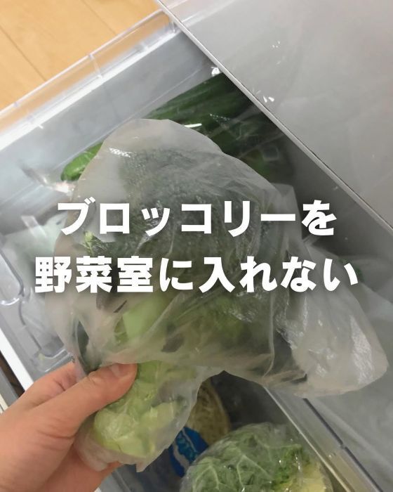ブロッコリーは「野菜室に入れないで」　長持ちさせる保存テクが便利！