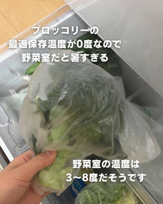 ブロッコリーは「野菜室に入れないで」　長持ちさせる保存テクが便利！