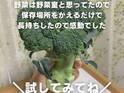 ブロッコリーは「野菜室に入れないで」　長持ちさせる保存テクが便利！