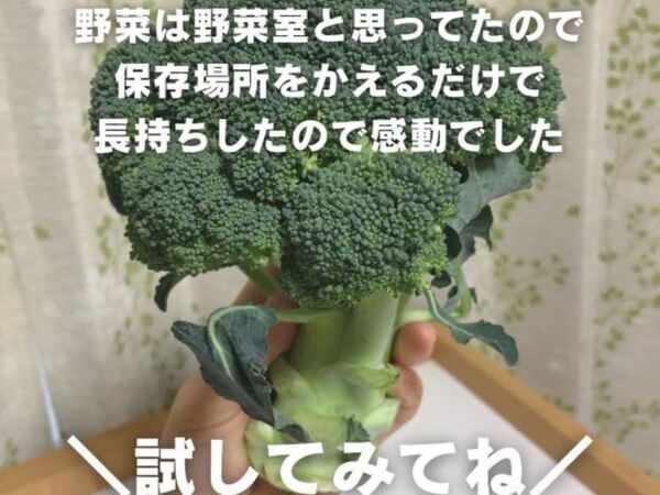 ブロッコリーは「野菜室に入れないで」　長持ちさせる保存テクが便利！