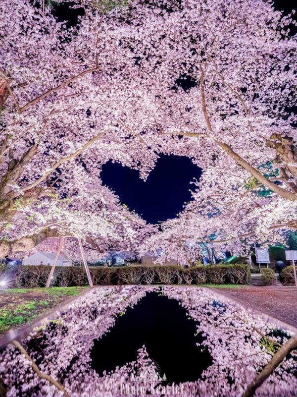 「う、美しい」「ロマンティック」　『場所は非公開』の絶景がこちら！