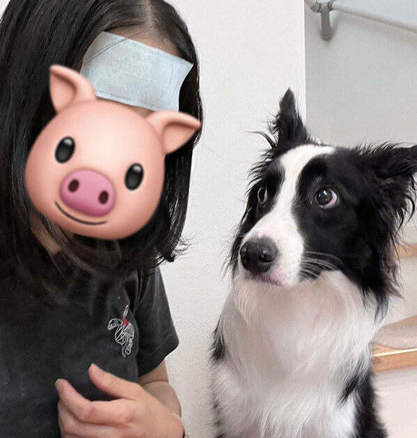 「笑っちゃった」「いい顔すぎる」　冷えピタを貼った飼い主を見て、愛犬が…？