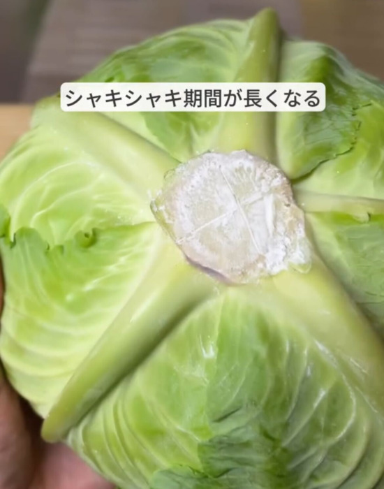 甘いキャベツを見分けるコツは…　意外な助言に「なるほど！」