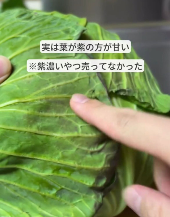 甘いキャベツを見分けるコツは…　意外な助言に「なるほど！」