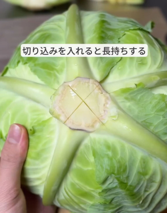 甘いキャベツを見分けるコツは…　意外な助言に「なるほど！」