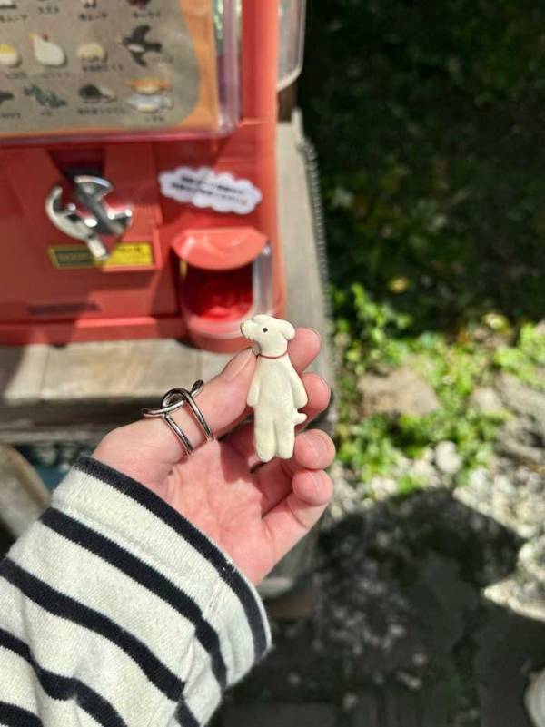 ５００円のカプセルトイ　出てきたものに「泣いた」「どれが当たっても…」