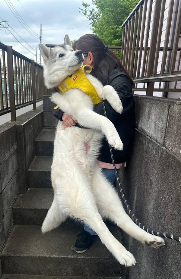 女性に抱きかかえられたハスキー　表情に「完全に赤ちゃん顔」「さすがに保存した」
