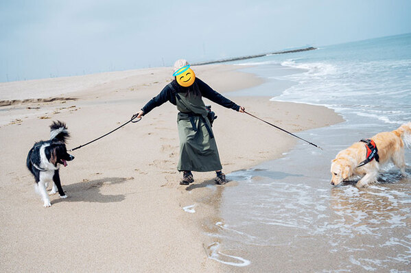 飼い主「ちょ…」　多頭飼いの『大変さ』が伝わる１枚に「思わず笑った」「この写真好き」