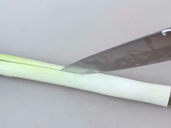 縦に切り込みを入れてみて！　ネギの切り方テクに「驚いた」「全然違う」