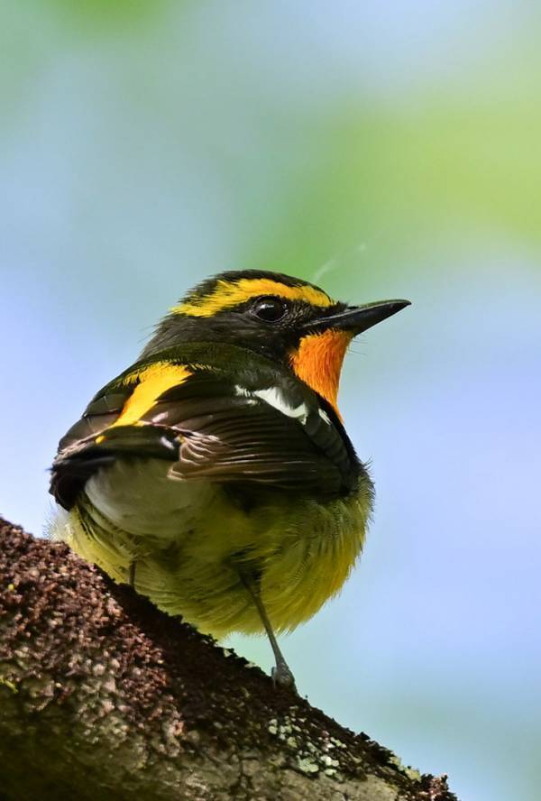 「ポーズで、イケメン度マシマシ」　外で見かけた『見返りイケメン』の１枚に反響！