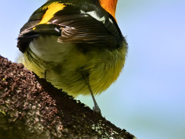 「ポーズで、イケメン度マシマシ」　外で見かけた『見返りイケメン』の１枚に反響！