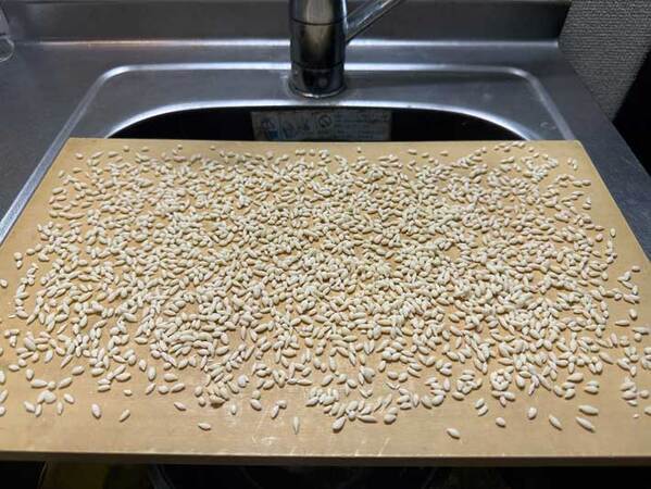 「米が高ぇから…」　代用したのは？「懐かしい！」「分かる人には分かる」