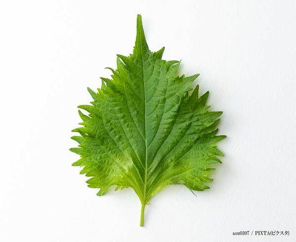 料理に添えないで！　注意喚起に「知らなかったら、食べちゃうよ」