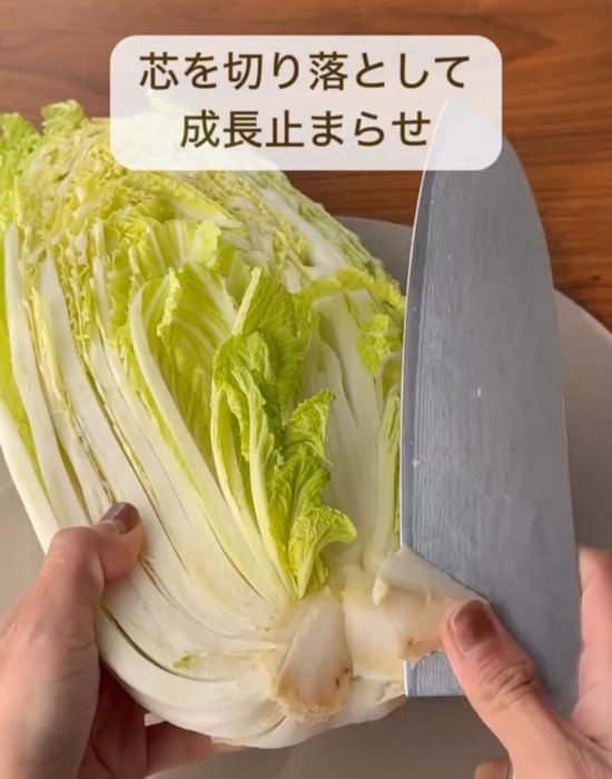 買ったその日にやるだけ！　野菜を新鮮に保存する５つのコツ