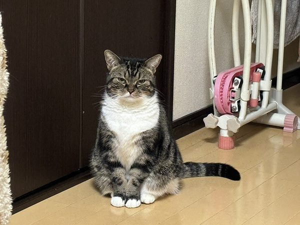 「１５分寝坊しただけなのに…」　目にした光景に「これは土下座だわ」「１００点の圧力」