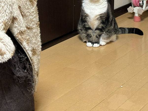 「１５分寝坊しただけなのに…」　目にした光景に「これは土下座だわ」「１００点の圧力」