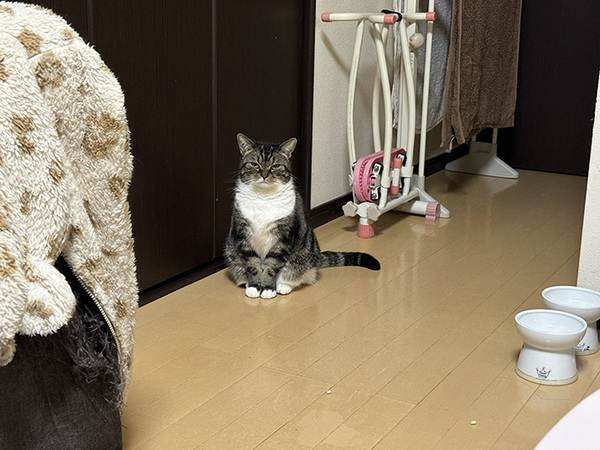 「１５分寝坊しただけなのに…」　目にした光景に「これは土下座だわ」「１００点の圧力」