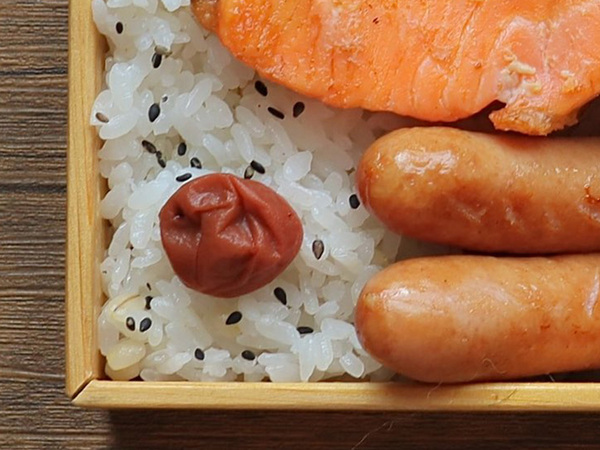 「GWは予定がないので…」　作った弁当に「最高！」「３個買いたい」