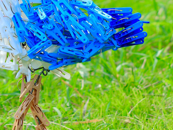 『アオサギ』を３時間かけて…　洗濯バサミアートに「再現性が高すぎる」