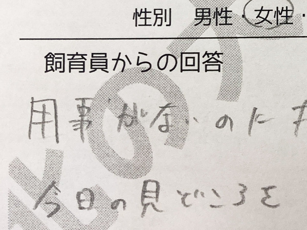 壁に『謎のボタン』がある水族館　館長のコメントに「粋な対応」「これは押すわ」