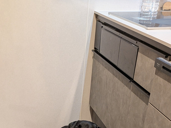 飼い主「まず犬を退かします」　キッチンの床に…「じわじわくる」「笑った」