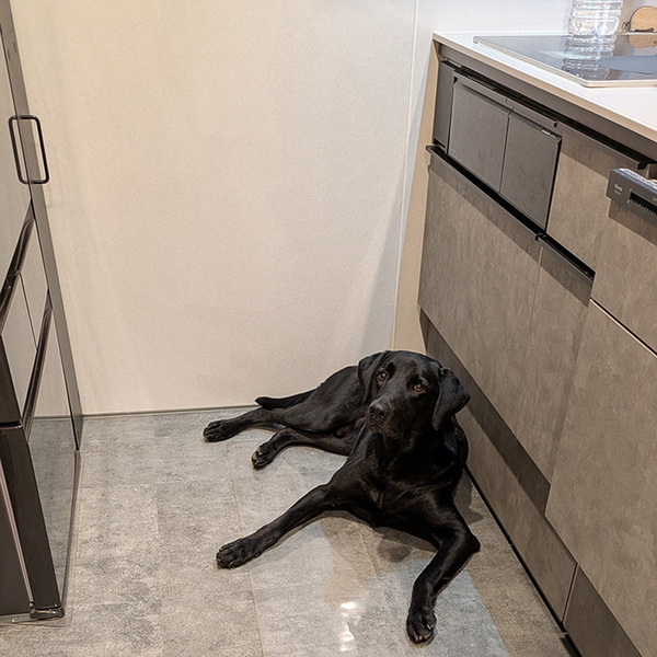 飼い主「まず犬を退かします」　キッチンの床に…「じわじわくる」「笑った」