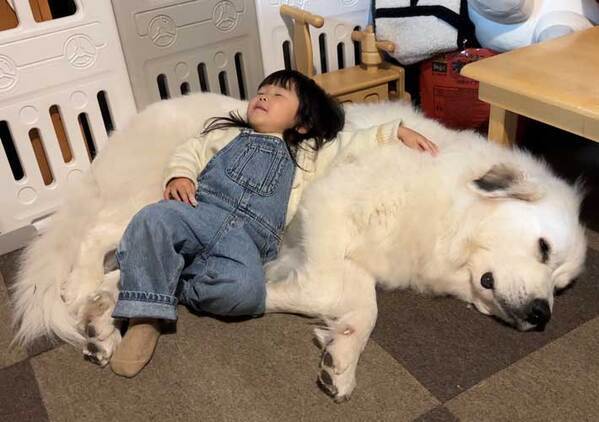 ２歳娘のGWの過ごし方　遊びに行くのではなく…「めちゃ憧れる」「最高すぎるだろ」