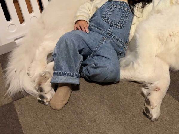 ２歳娘のGWの過ごし方　遊びに行くのではなく…「めちゃ憧れる」「最高すぎるだろ」